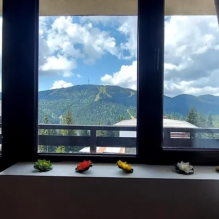 Rhodopi Pearl - Private Apartment Pamporovo